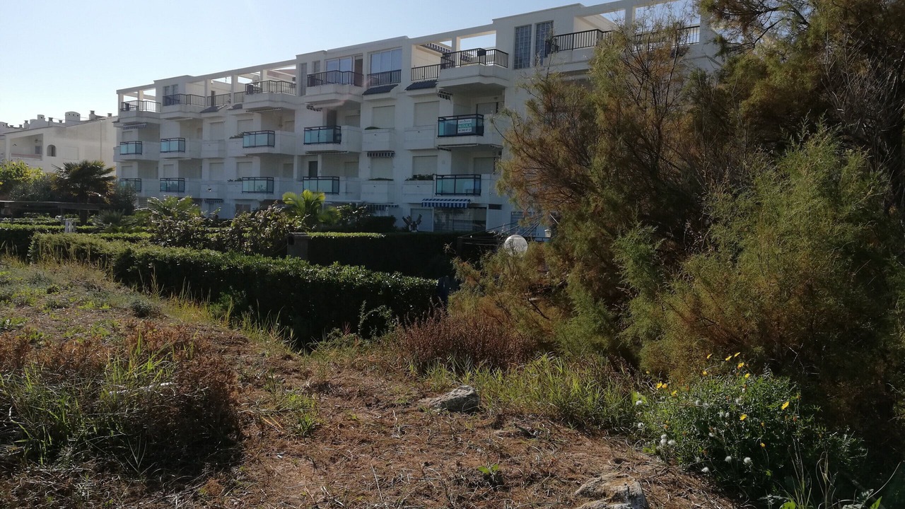 Photo of Others in Xeraco