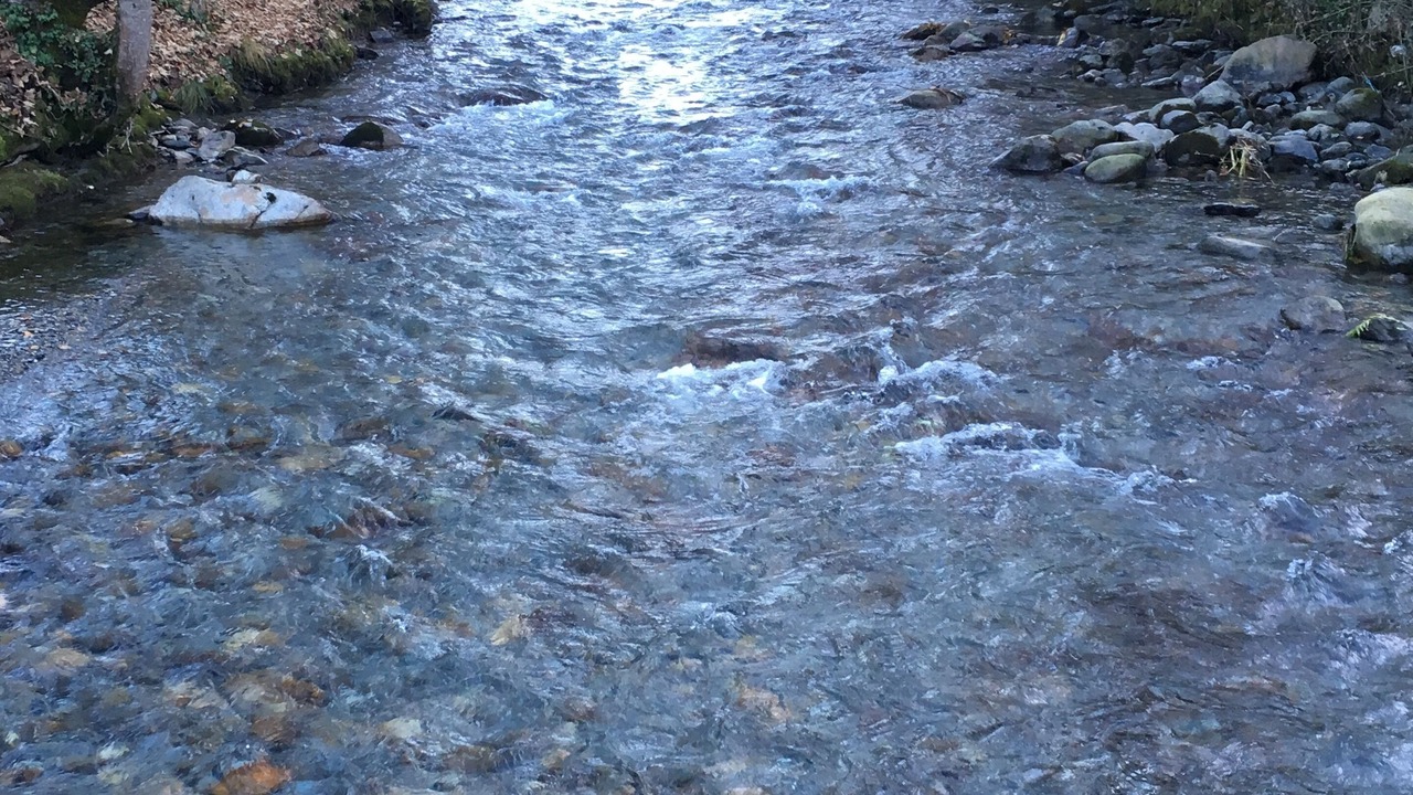 Photo of Others in Bagneres-de-Luchon