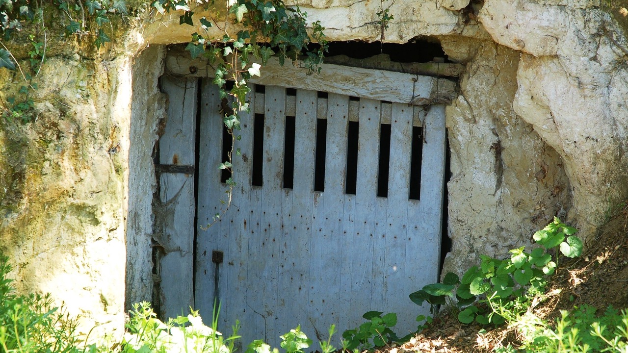 Photo of Others in Brion