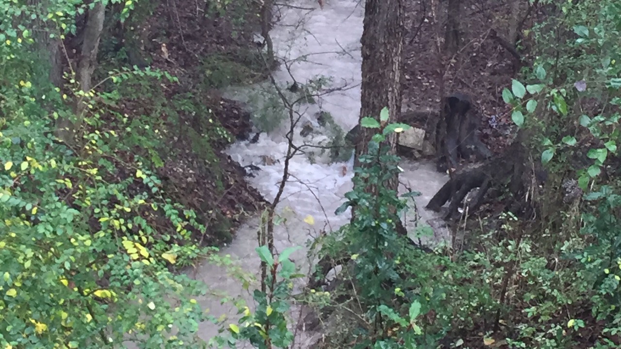 Photo of Outdoor in Pottsboro