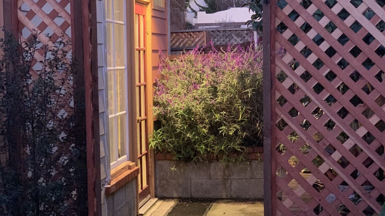 Photo of Outdoor in Albany