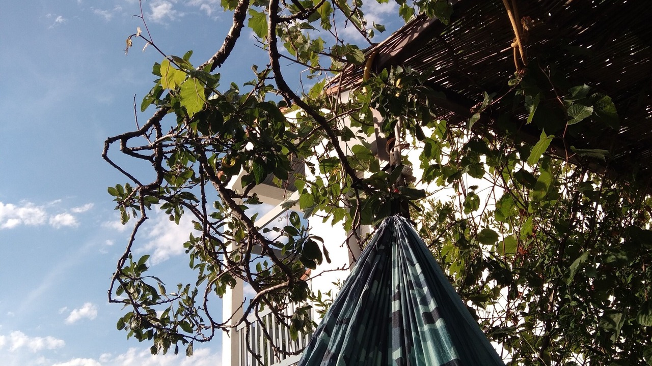 Photo of Outdoor in Saint-Esteve