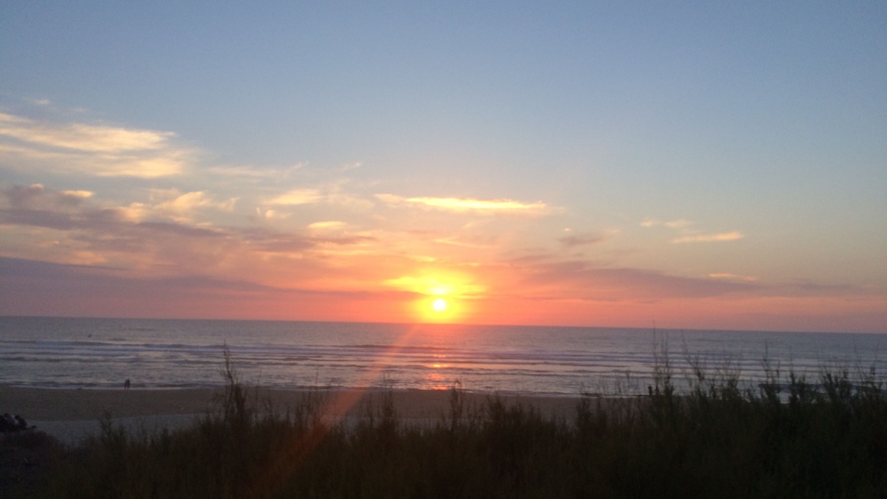 Photo of Others in Gastes