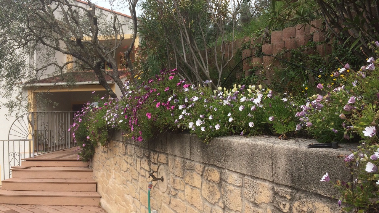 Photo of Outdoor in Peillon