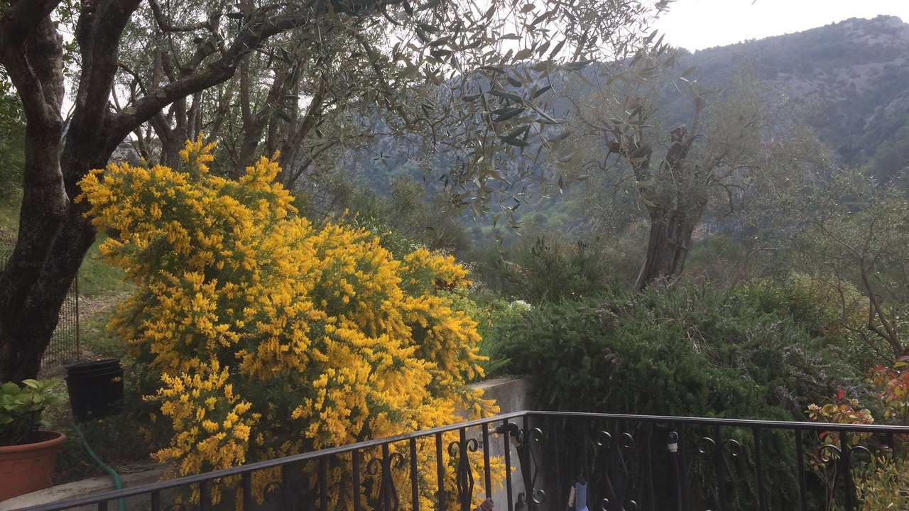 Photo of Outdoor in Peillon