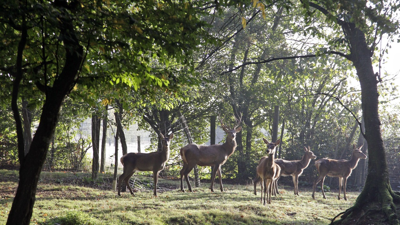 Photo of Outdoor in Meauce