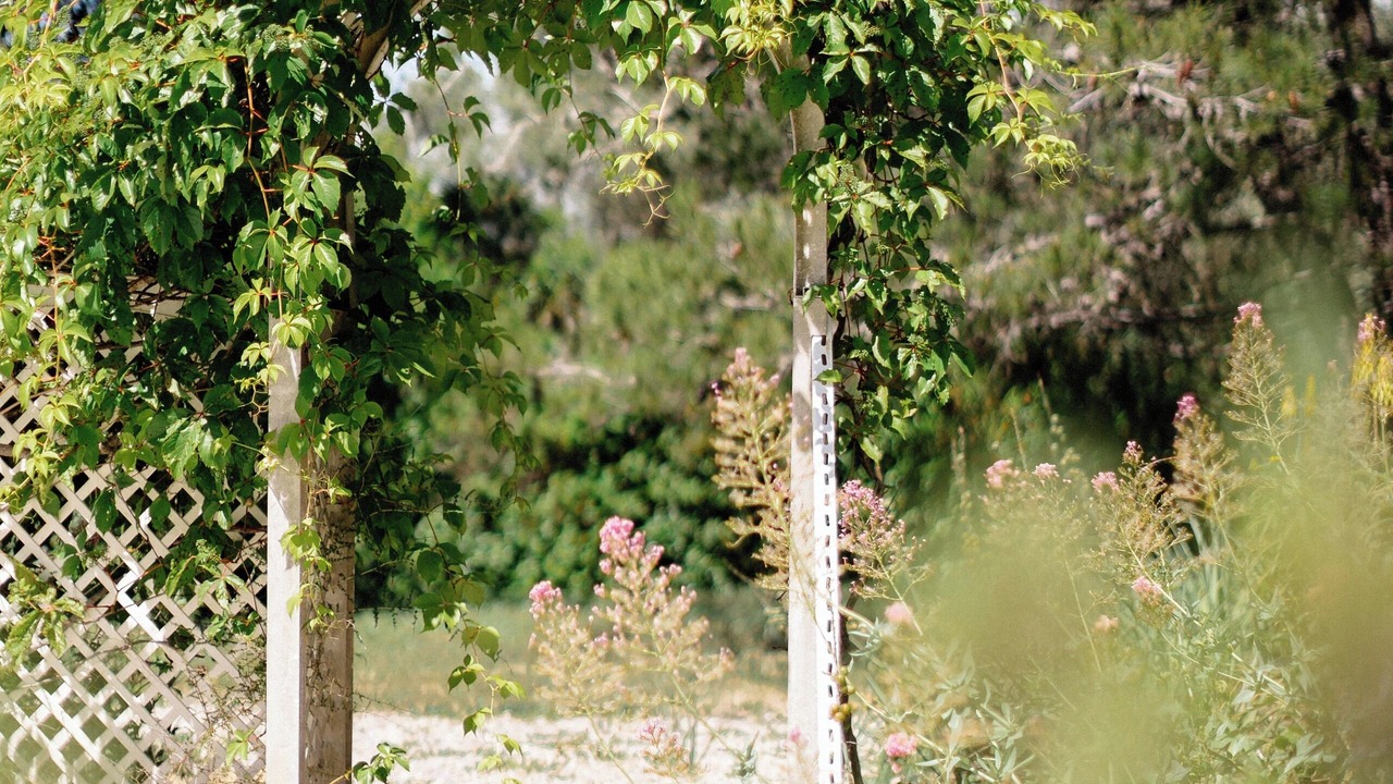 Photo of Others in Azillanet