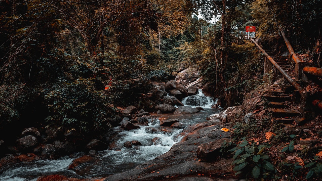 Photo of Others in George Town