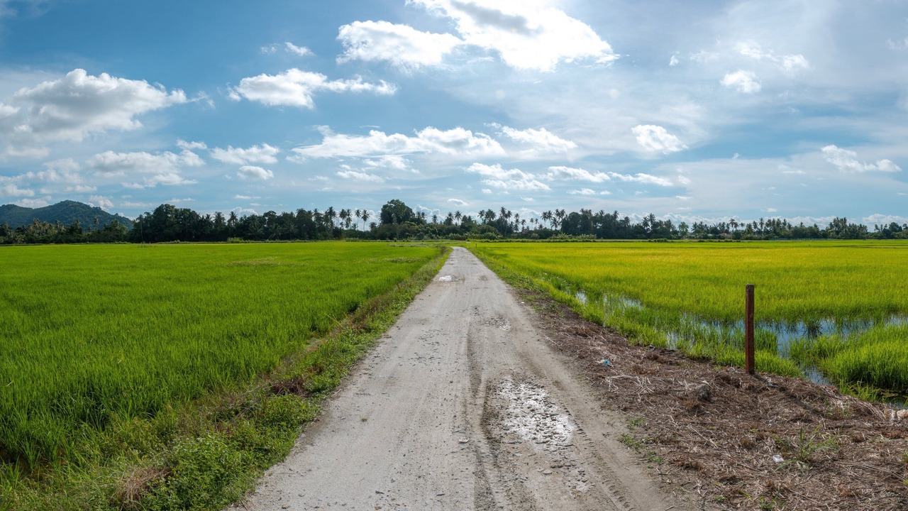 Photo of Outdoor in George Town