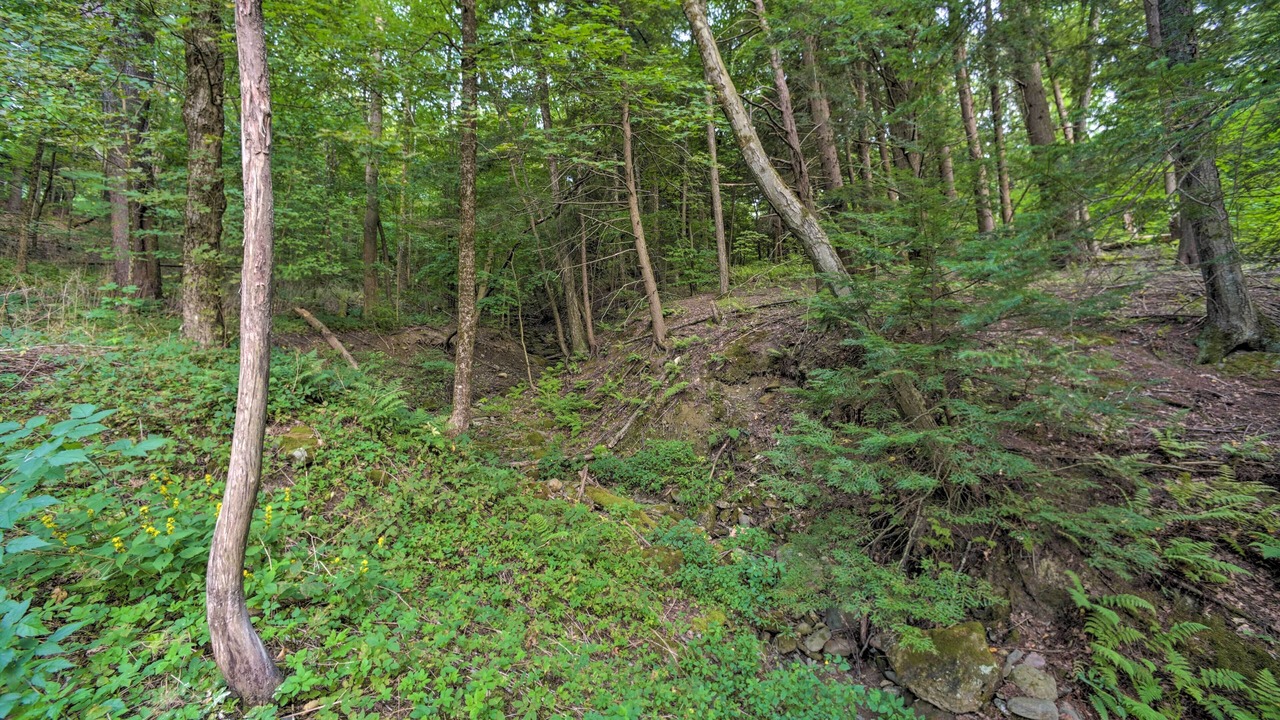 Photo of Others in Stockbridge