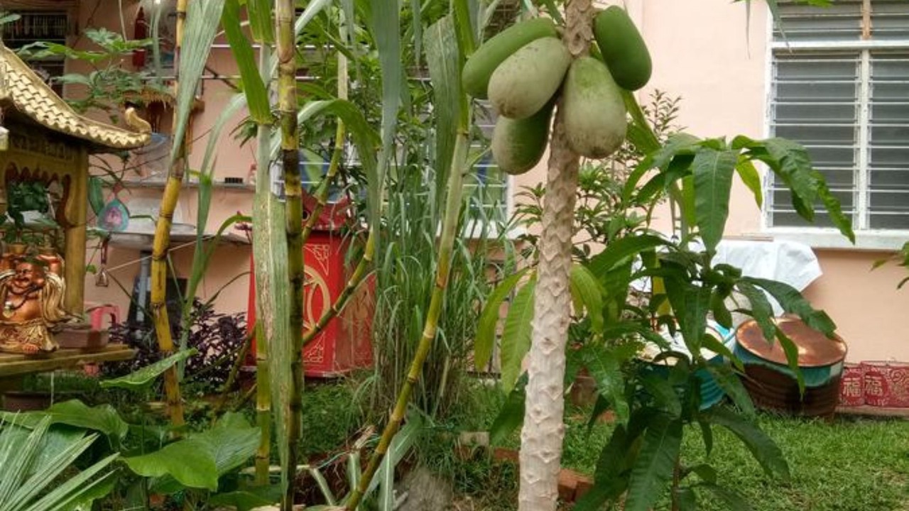 Photo of Outdoor in Bukit Tinggi