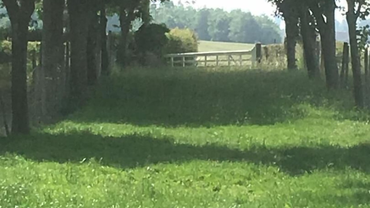 Photo of Outdoor in Belle-et-Houllefort