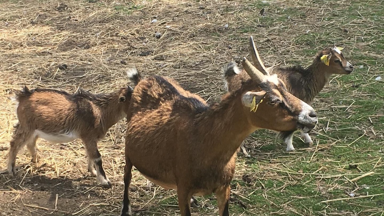 Photo of Others in Belle-et-Houllefort