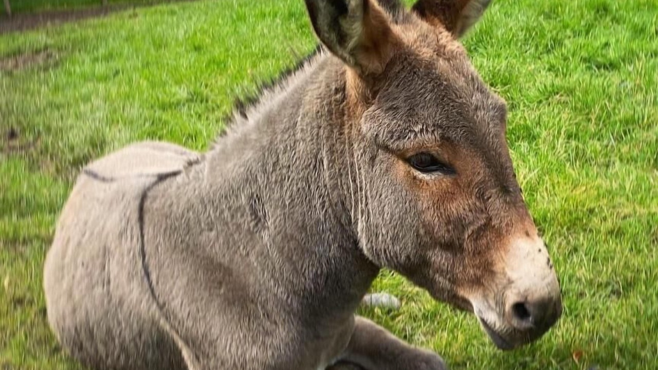 Photo of Outdoor in Belle-et-Houllefort