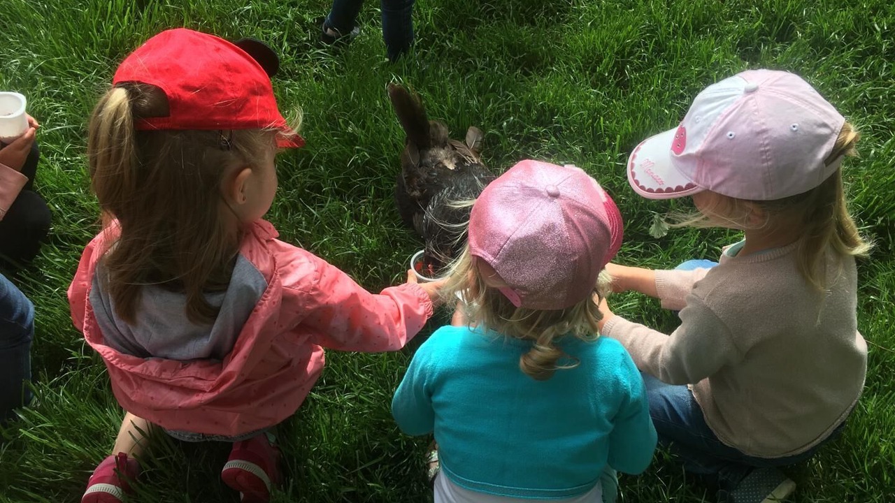 Photo of Outdoor in Belle-et-Houllefort