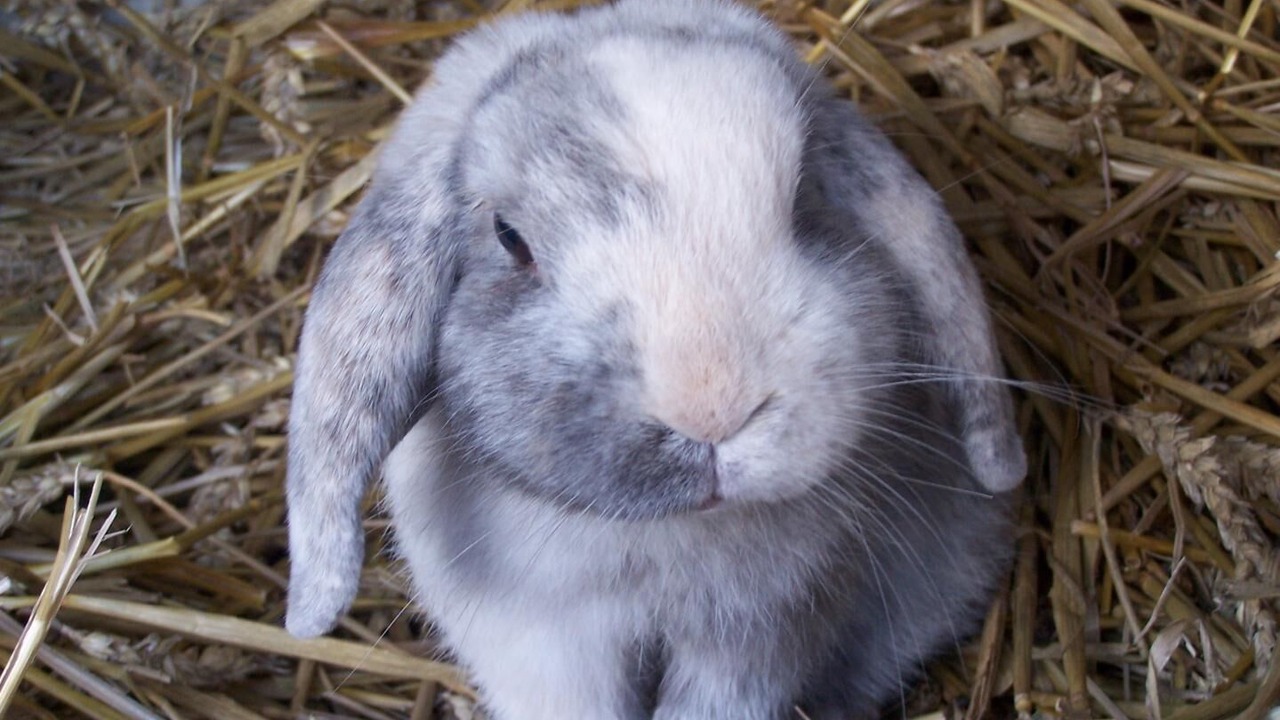 Photo of Outdoor in Belle-et-Houllefort