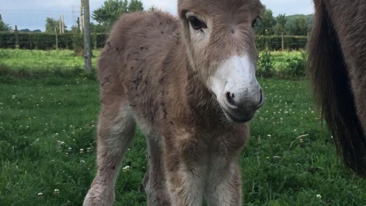 Photo of Outdoor in Belle-et-Houllefort