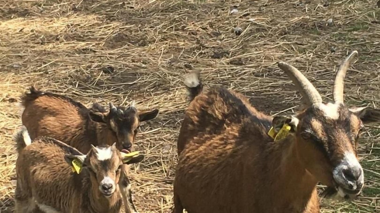 Photo of Outdoor in Belle-et-Houllefort