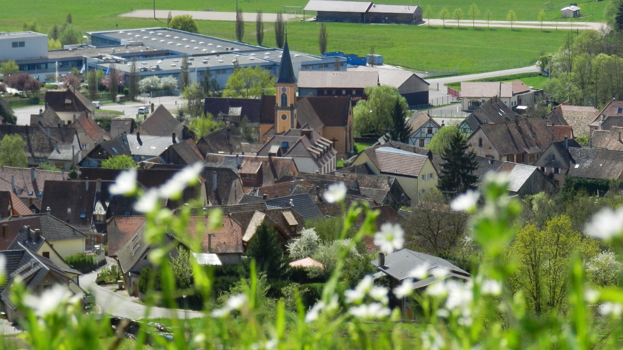 Photo of Outdoor in Triembach-au-Val