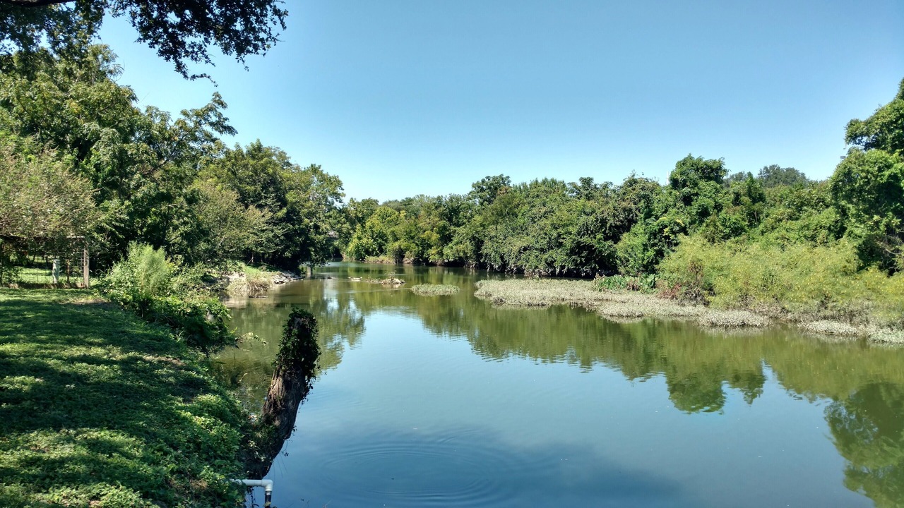 Photo of Others in Round Rock