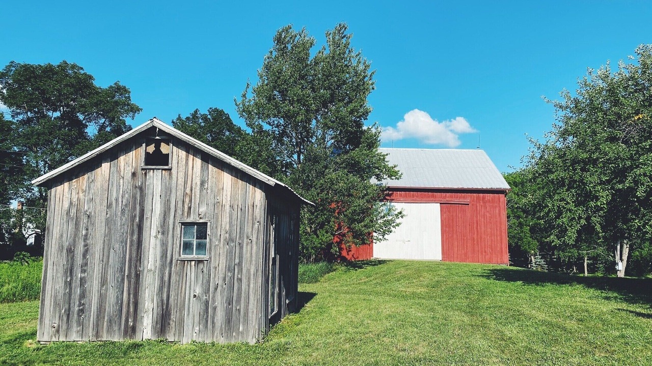 Photo of Outdoor in Trumansburg