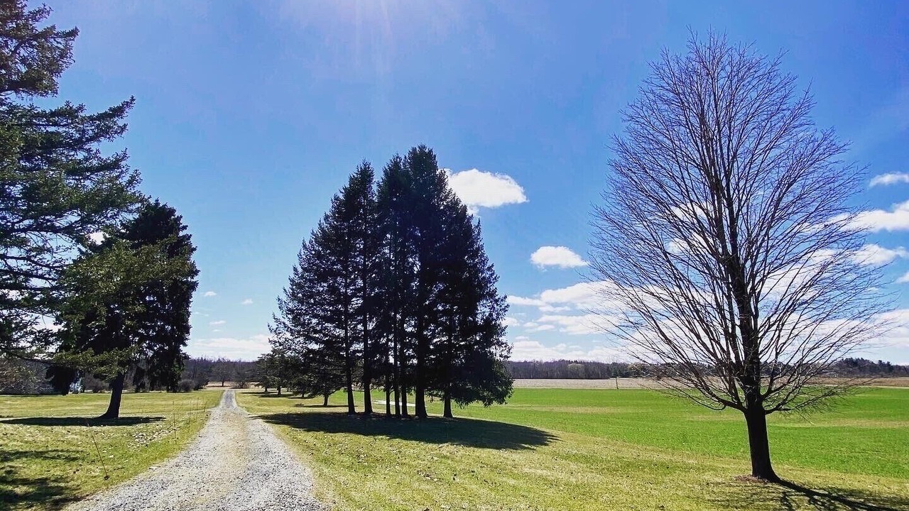 Photo of Others in Trumansburg