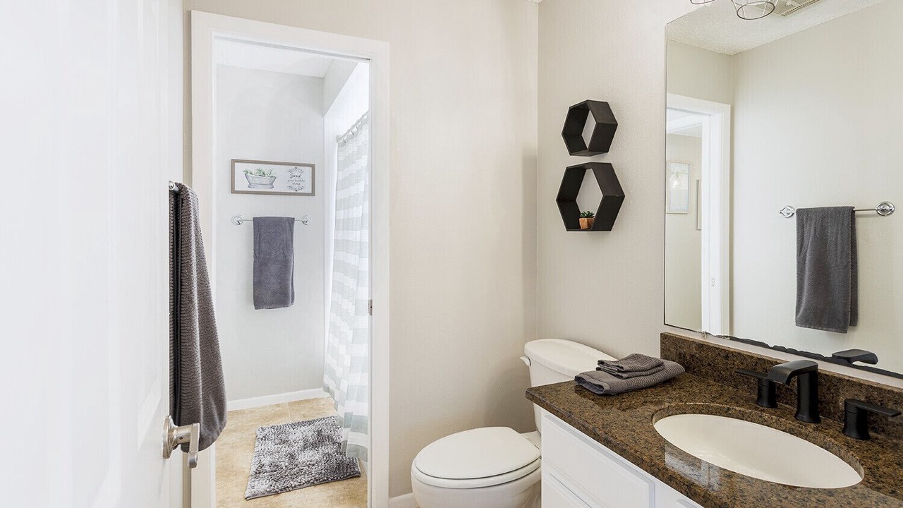 Photo of Bathroom in Dunedin