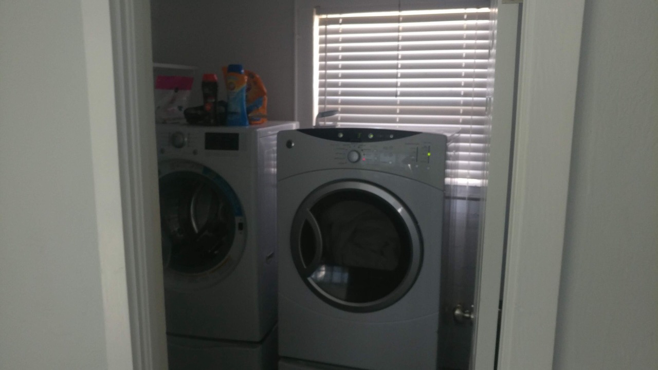 Photo of Others in Ormond-by-the-Sea