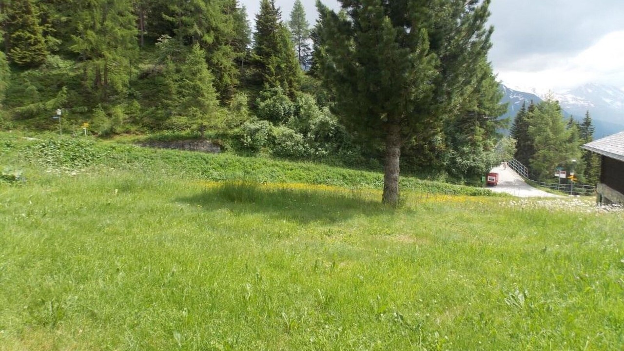 Photo of Others in Riederalp