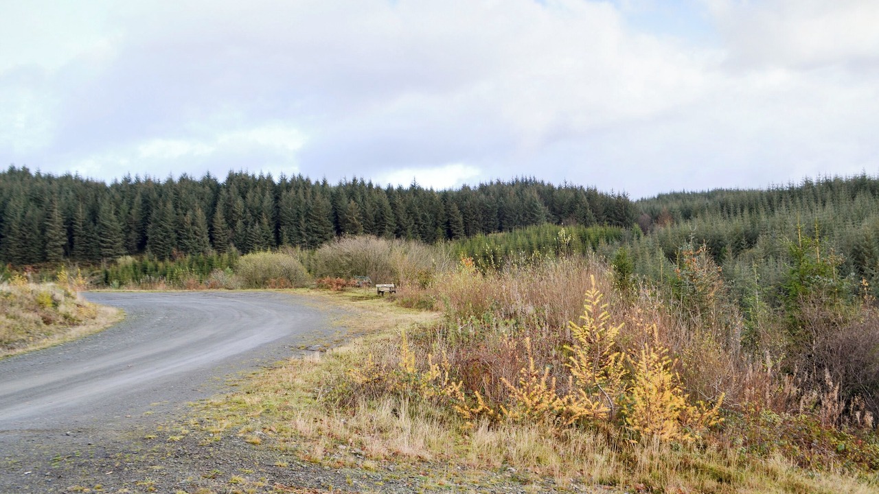 Photo of Others in Llandovery