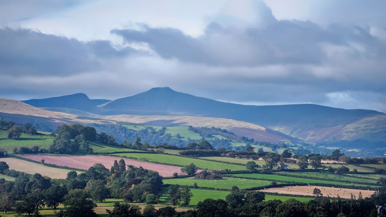 Photo of Others in Llandovery