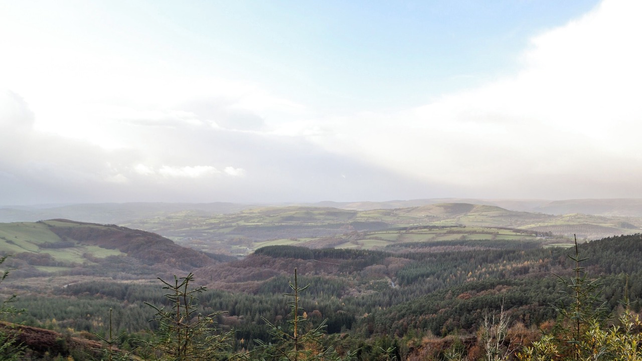 Photo of Others in Llandovery
