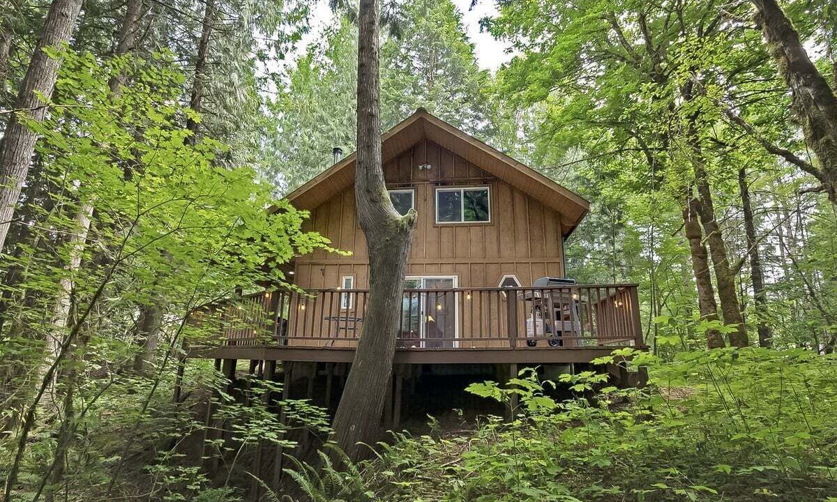 Photo of Outdoor in Packwood