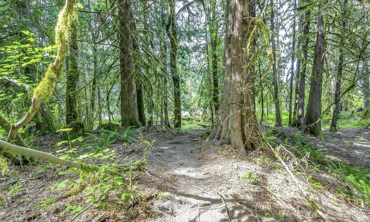 Photo of Others in Packwood