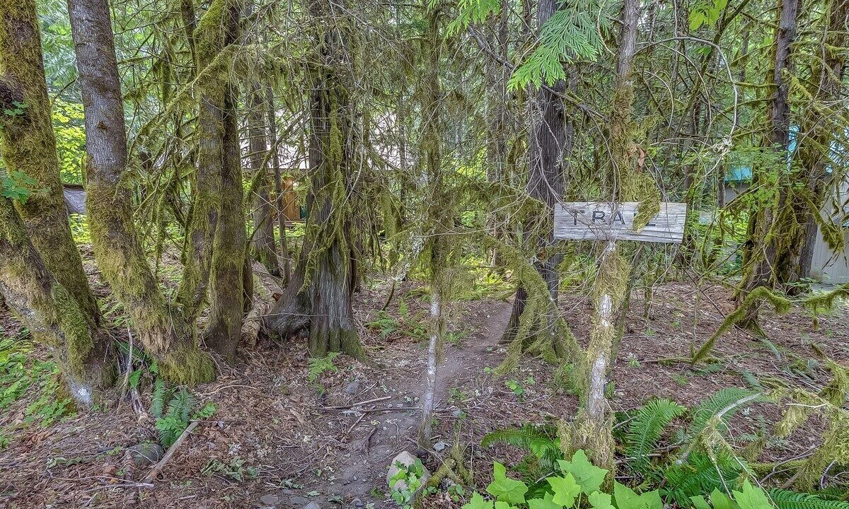 Photo of Others in Packwood