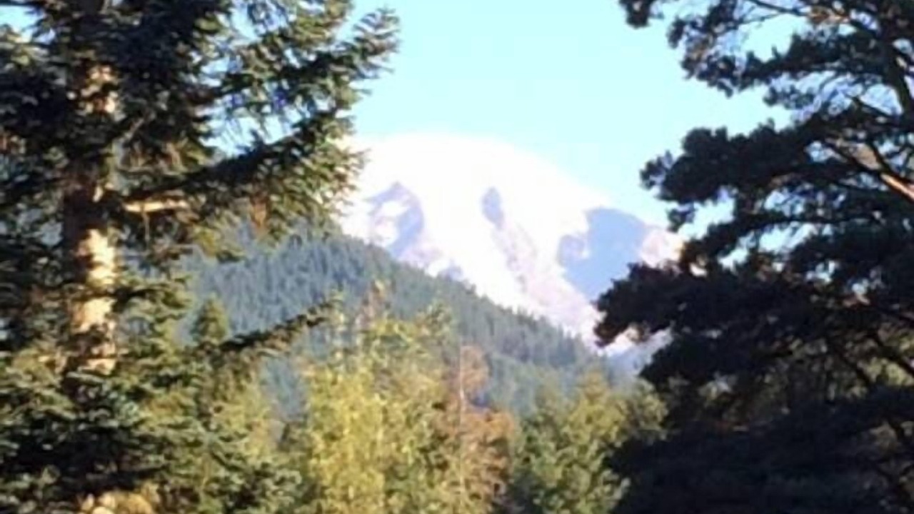 Photo of Others in Packwood