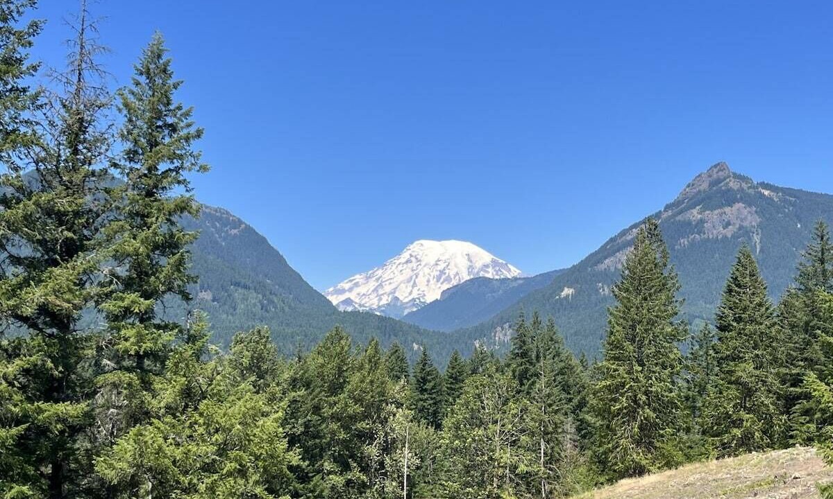 Photo of Others in Packwood