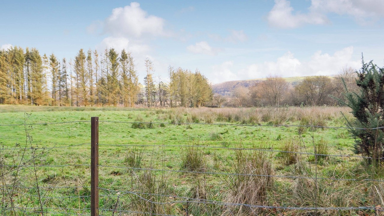 Photo of Others in Tregaron