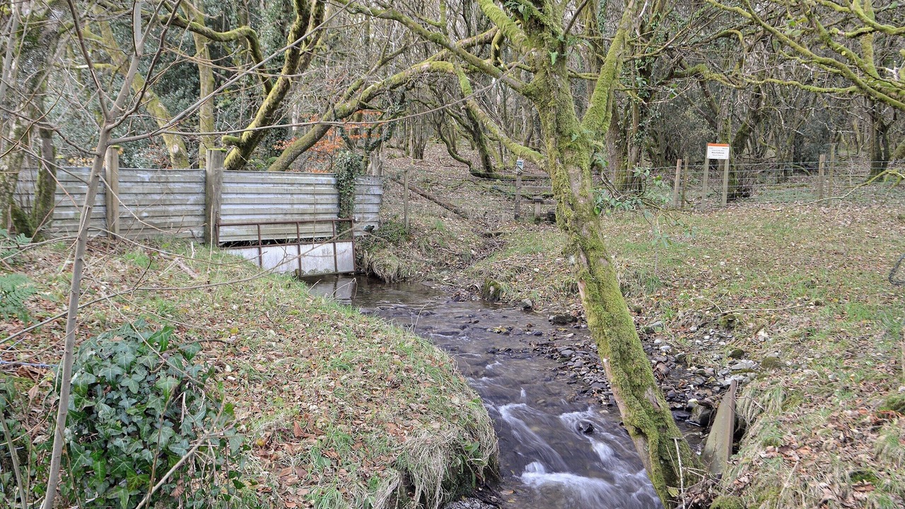 Photo of Others in Tregaron