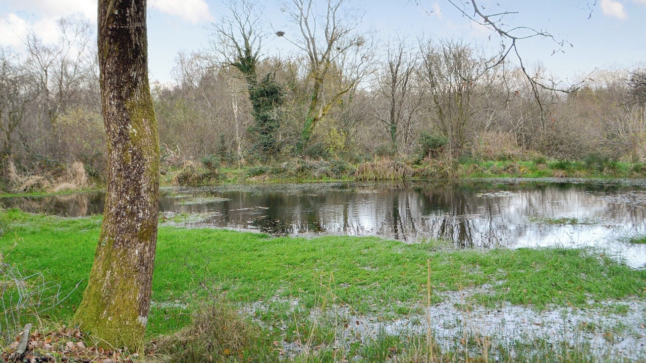 Photo of Others in Tregaron