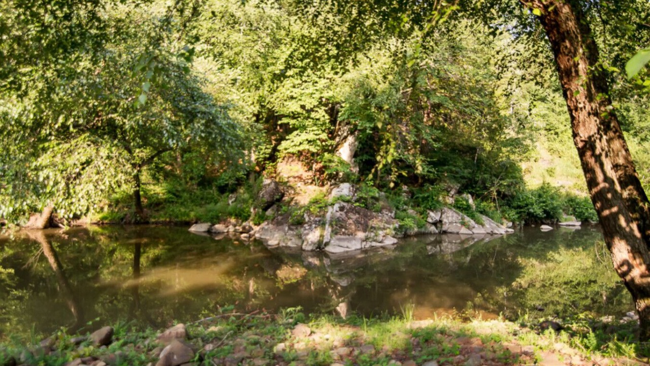 Photo of Others in Smithville