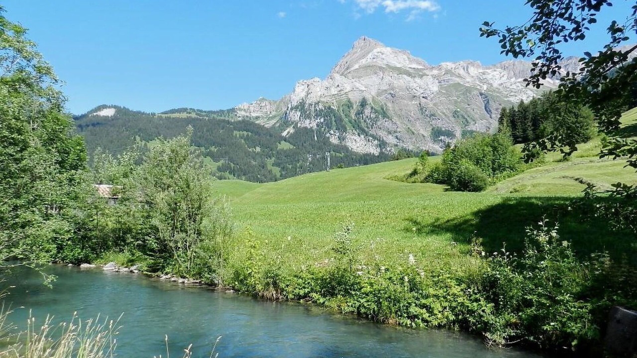 Photo of Others in Gsteig