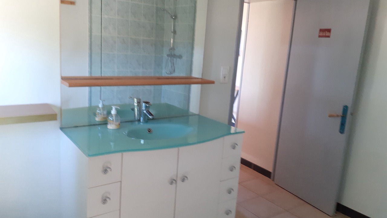 Photo of Bathroom in Louchy-Montfand