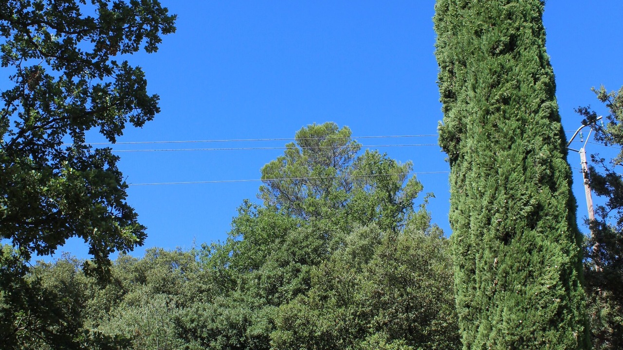 Photo of Outdoor in Meounes-les-Montrieux