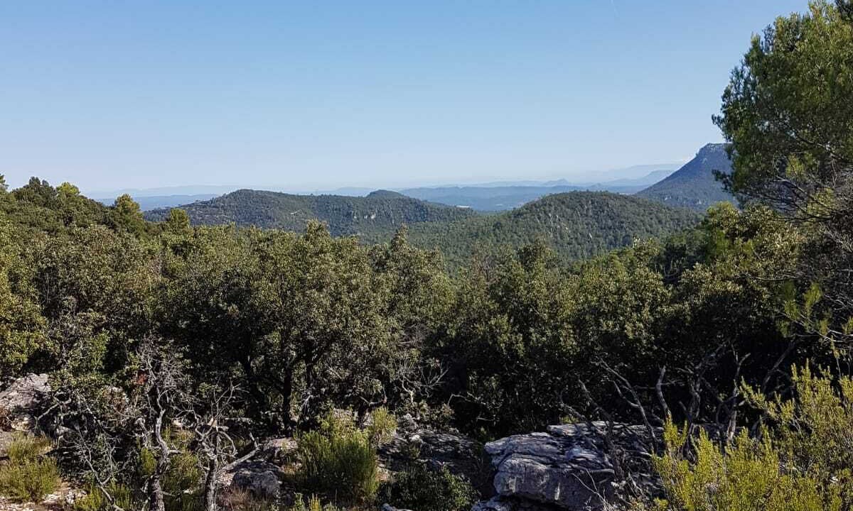 Photo of Outdoor in Meounes-les-Montrieux