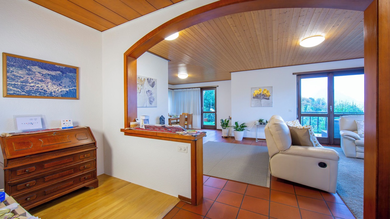 Photo of Livingroom in Pregassona
