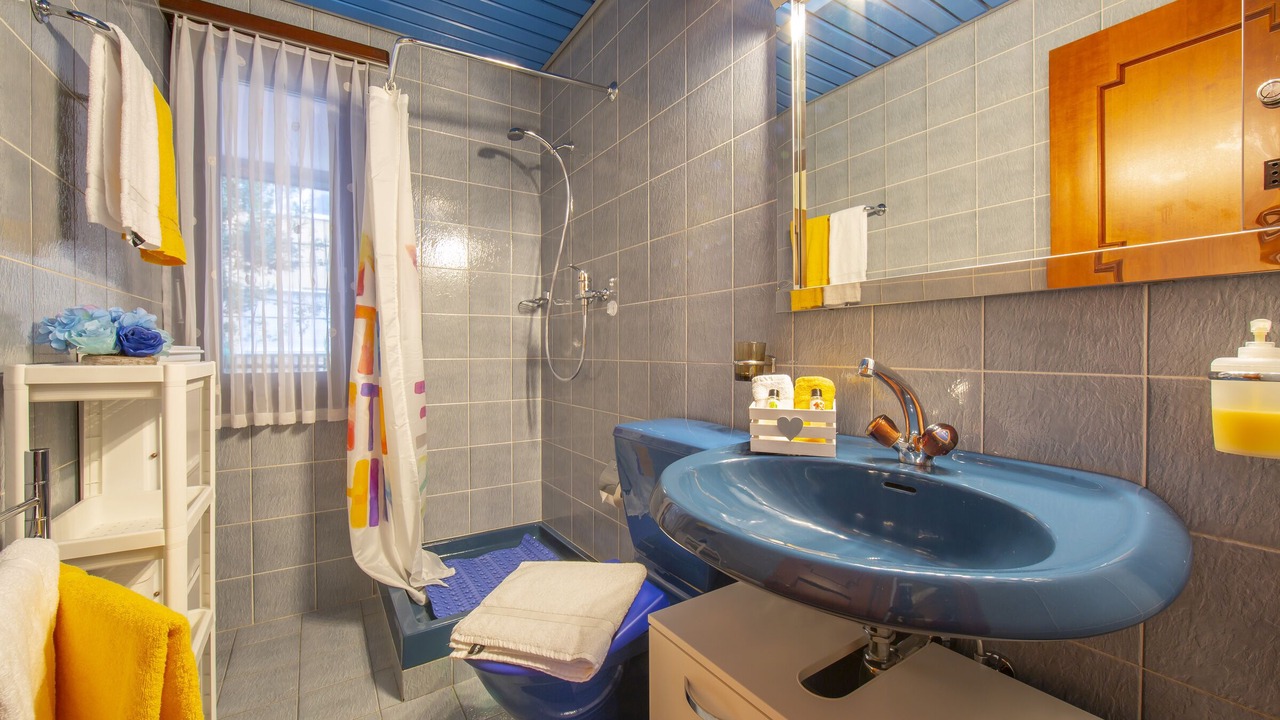 Photo of Bathroom in Pregassona