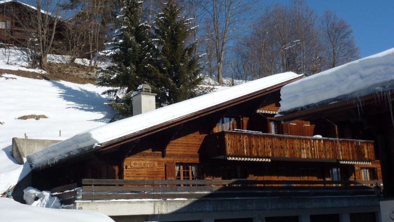 Photo of Others in Saanen