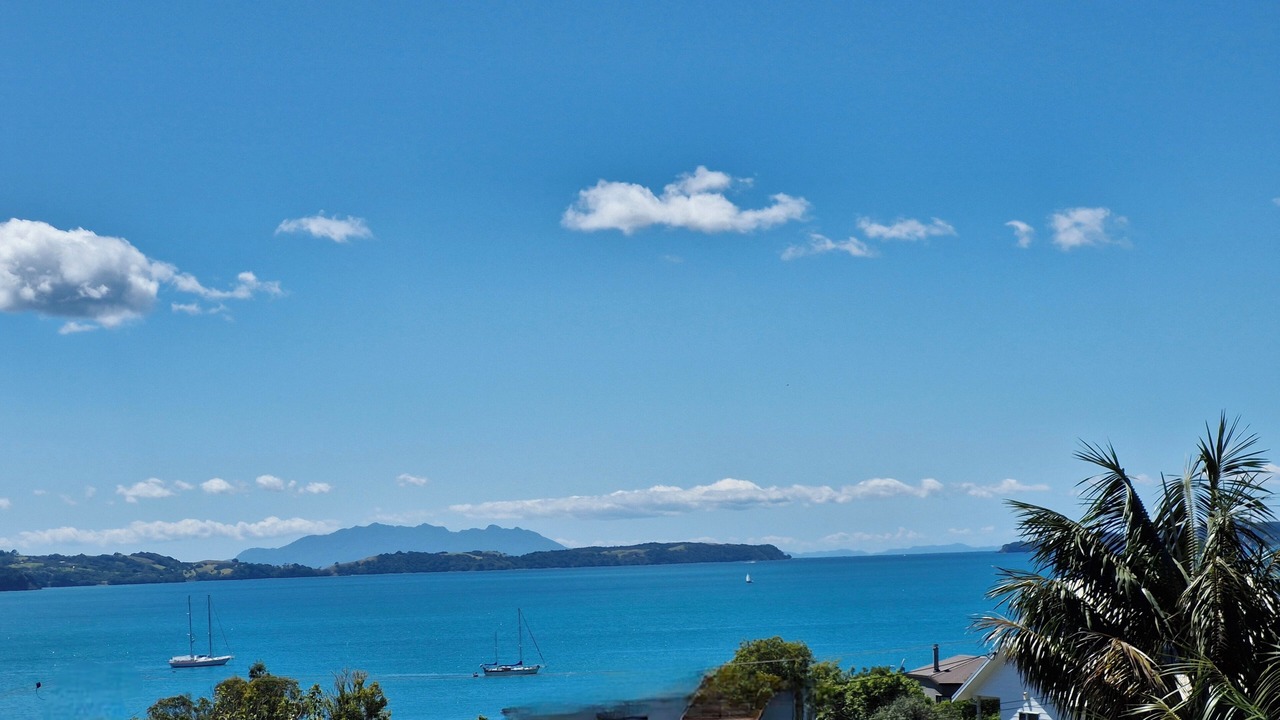 Photo of Others in Algies Bay