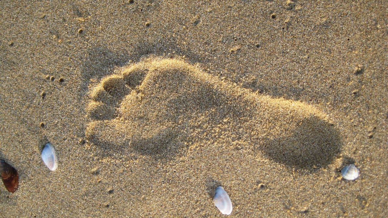 Photo of Others in Toluca Lake